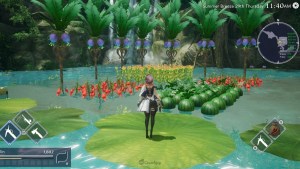 Harvestella Unveils New Details About Summer Season, Towns, and More