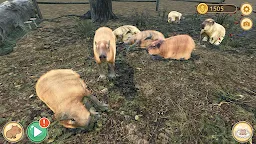 Screenshot 2: Capybara Spa