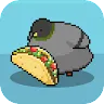 Icon: Pigeon