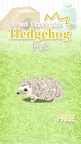 Screenshot 1: Hedgehog Pet