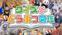 Screenshot 1: 知識問答：動物圖鑑