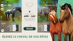 Screenshot 2: Wildshade: courses de chevaux