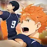 Icon: HAIKYU!! FLY HIGH