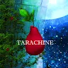 Icon: 逃脫遊戲：TARACHINE