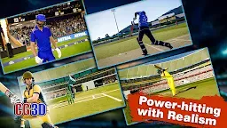 Screenshot 4: Juego de críquet 3D