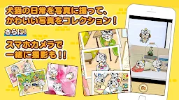 Screenshot 5: 고양이랑 강아지 기르기 | 일본판