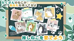 Screenshot 3: にゃんかつ