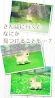 Screenshot 4: Healing Puppy Training Game -Chiwawa Hen〜