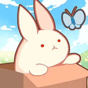 Rabbit in the box
