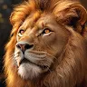 Icon: 野獸領主：新世界 | 國際版