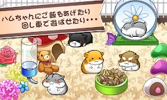 Screenshot 1: ハムスターライフ - 無料育成ゲーム