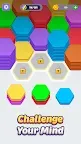 Screenshot 4: Hexa Sorting Puzzle