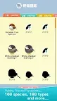 Screenshot 5: Tori Watch 2 - fluffy small birds -