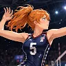 Icon: VolleyGirls: Vôlei Ensino Med.