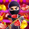 Icon: Ninja Crash