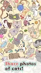 Screenshot 3: Cat's Puzzle