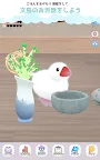 Screenshot 17: 幸福文鳥LIFE - 寵物飼養 -