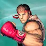 Icon: Street Fighter IV Champion Edition