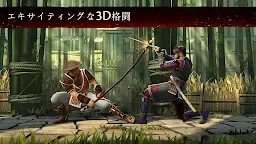 Screenshot 13: シャドウファイト 3