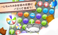 Screenshot 7: ハムスターライフ - 無料育成ゲーム