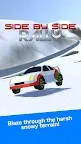 Screenshot 3: Side by Side Rally