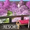 Escape game RESORT5 -  Cherry blossom garden