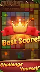 Screenshot 2: Super Block Puzzle