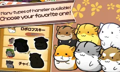 Screenshot 18: Hamster Life - 햄스터 라이프