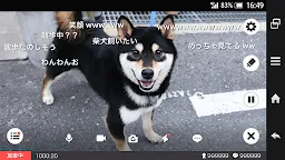 Screenshot 2: 【配信専用】ニコニコ生放送