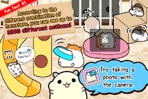 Screenshot 5: HamsterCollectio