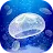 Jellyfish Pet