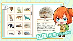 Screenshot 4: 知識問答：動物圖鑑