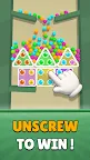 Screenshot 17: Screw Balls