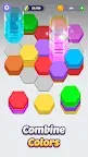 Screenshot 3: Hexa Sorting Puzzle