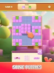 Screenshot 5: Angry Birds Block Quest