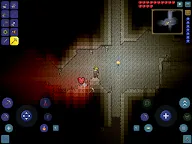 Screenshot 20: 泰拉瑞亞