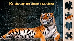 Screenshot 4: Чудо Пазлы