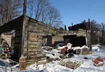 Screenshot 2: 逃出別墅