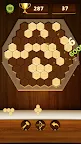 Screenshot 15: Wood Puzzle Quest