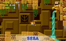 Screenshot 8: 音速小子(1991)