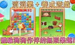 Screenshot 11: 可愛的小狗的日常生活