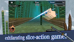 Screenshot 17: Samurai Sword