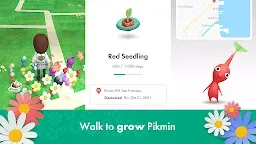 Screenshot 7: Pikmin Bloom
