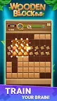 Screenshot 8: Block Puzzle: Wooden Block 8x8