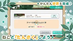 Screenshot 12: にゃんかつ