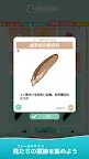 Screenshot 8: とりおっち2　-モフモフな小鳥を集めよう！-