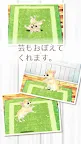 Screenshot 13: Healing Puppy Training Game -Chiwawa Hen〜
