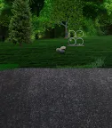 Screenshot 2: InWonderland