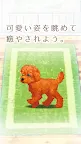 Screenshot 15: Healing Puppy Training Game ~Poodle Hen~