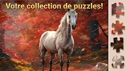 Screenshot 12: Puzzles Magiques